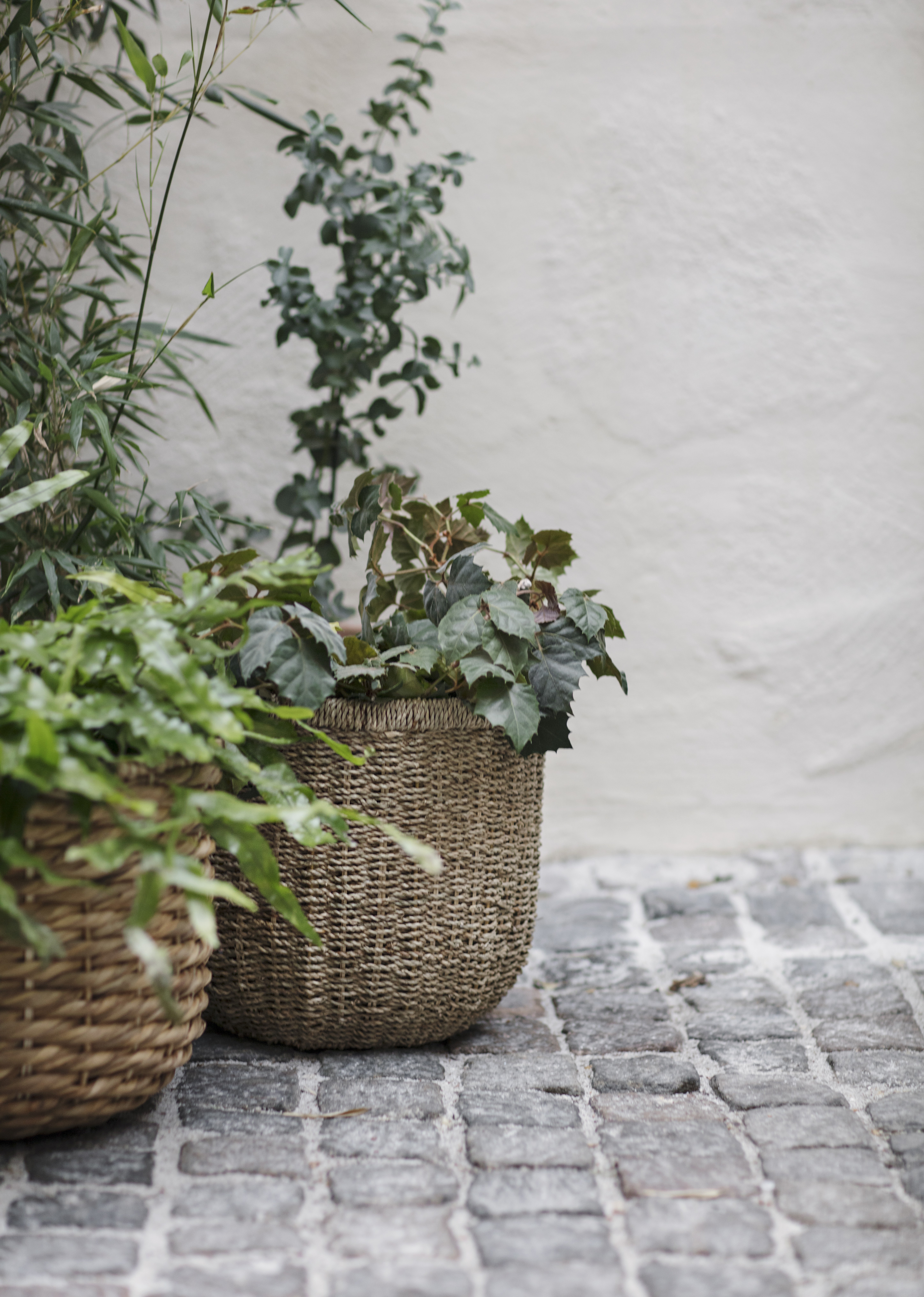 Korgar i flätat sjögräs och vattenhyacint med gröna växter